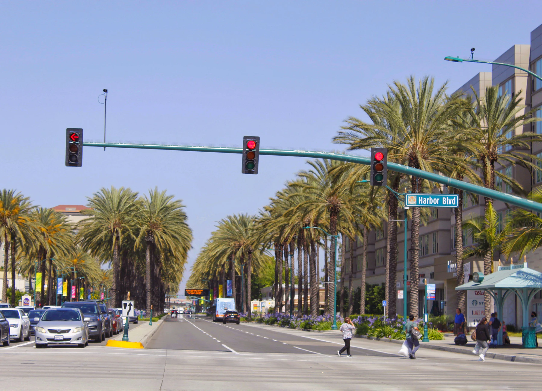 Palm-lined Harbor Boulevard streetscape in Anaheim