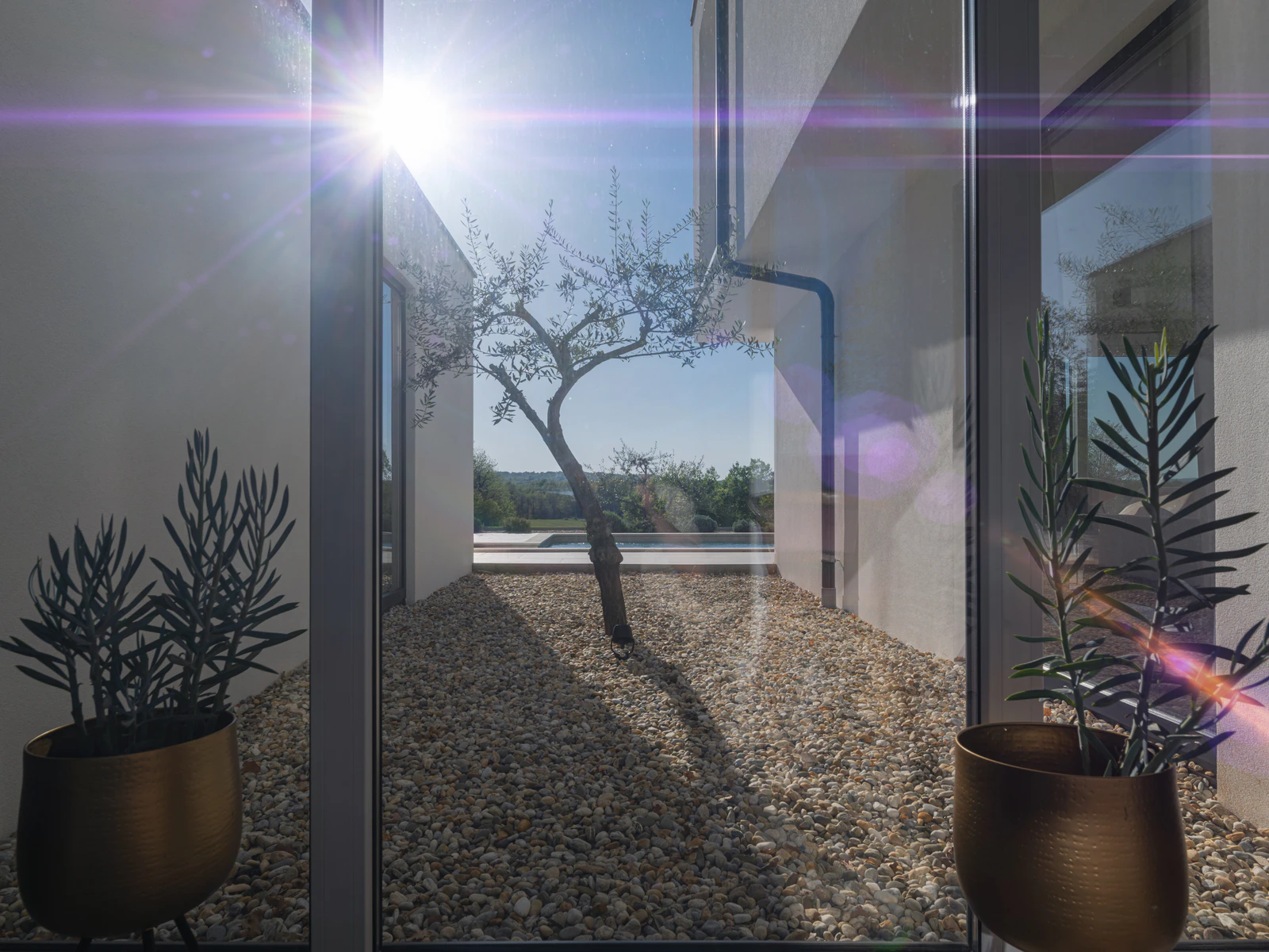 Modern courtyard residence representing North Park, San Diego